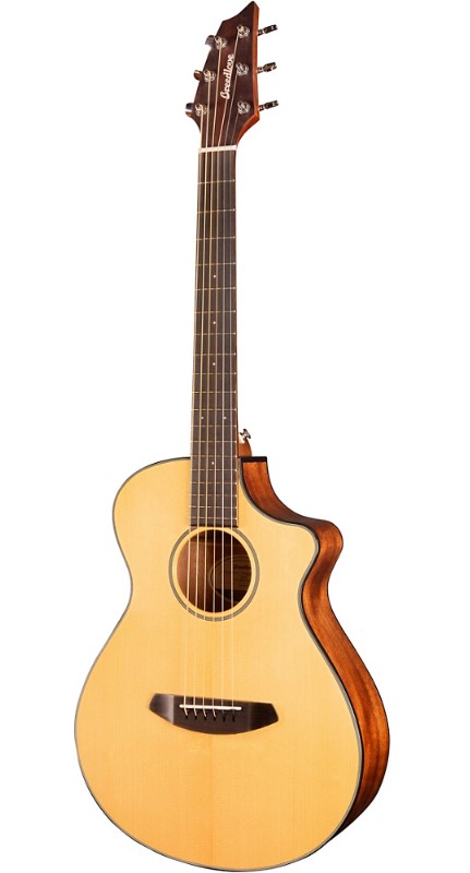 גיטרה אקוסטית מוגברת Breedlove Discovery Companion CE