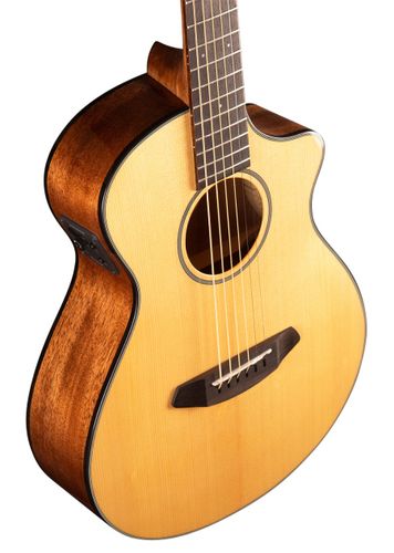 זוית נוספת Breedlove Discovery Companion CE
