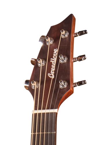 זוית נוספת Breedlove Discovery Companion CE