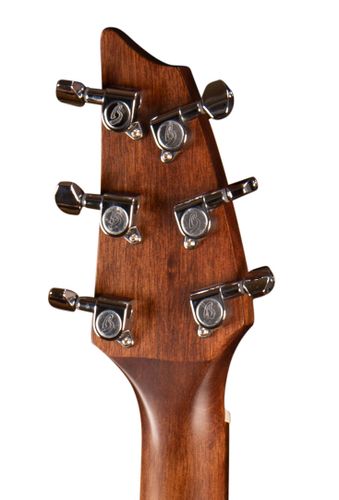 זוית נוספת Breedlove Discovery Companion CE