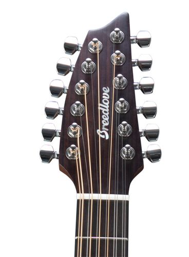 זוית נוספת Breedlove Pursuit Concert 12-String CE