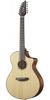 גיטרה אקוסטית מוגברת 12 מיתרים Breedlove Pursuit Concert CE