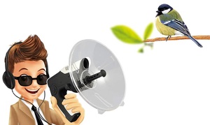 מגבר קול להאזנה ממרחק