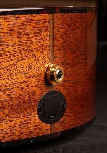 זוית נוספת Breedlove Performer Concert Bourbon CE