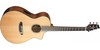 גיטרה אקוסטית מוגברת Breedlove Solo Concert CE Red Cedar-Ovangkol
