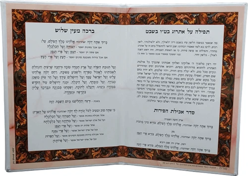 סדר ט