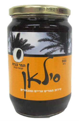 סילאן כנרת