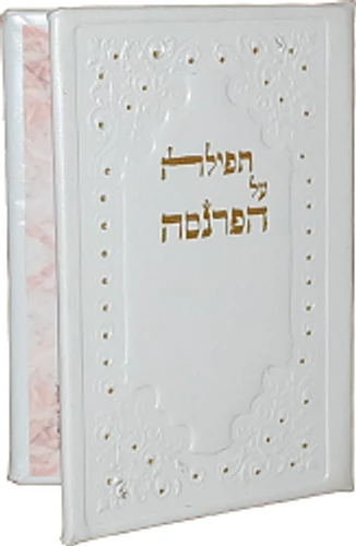תפילה על הפרנסה