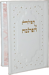 תפילה על הפרנסה
