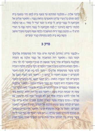 מגילת רות בעיצוב שיבולים