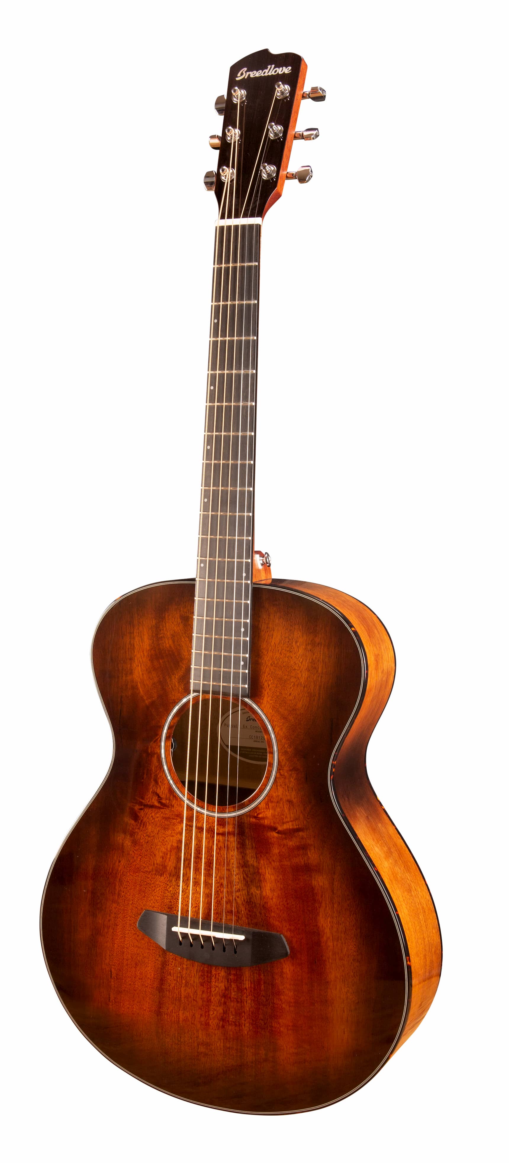 גיטרה אקוסטית מוגברת Breedlove Pursuit Exotic Concertina Bourbon E