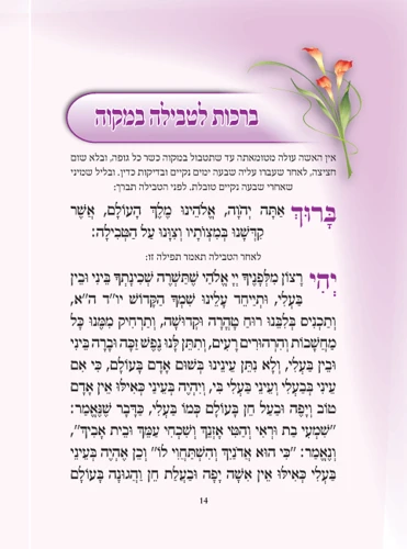 ספר בת מלך