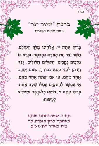 50 מגנטים אשר יצר- במגנט מעוצב לקניה