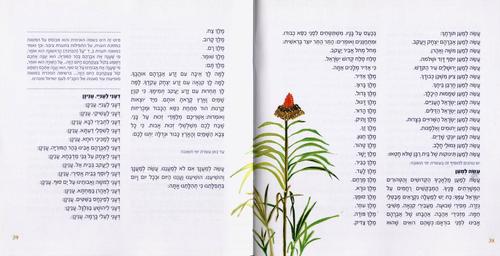אדון הסליחות-חוברת סליחות בעיצוב חדש (L)