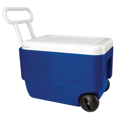 צידנית טרול 28 ליטר IGLOO(תמונה להמחשה בלבד)