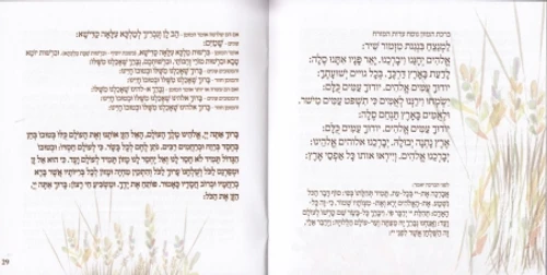 הגדה של פסח בעיצוב אצילי (L)