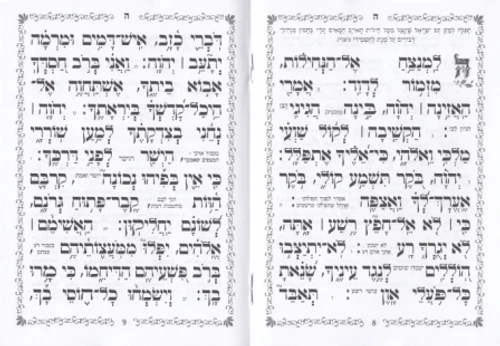 תהילים מחולק עם קופסא קשיחה (L)
