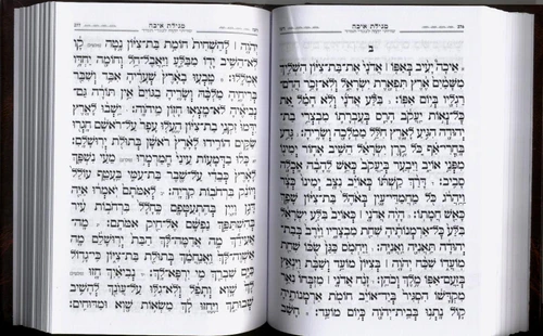 סידור כוונת הלב לתשעה באב (L)