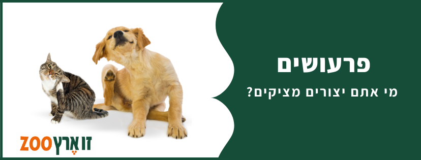 פרעושים כלבים חתולים