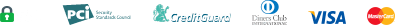payment_icon