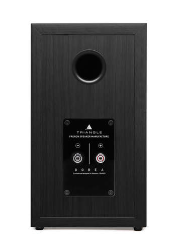 4Black Ash