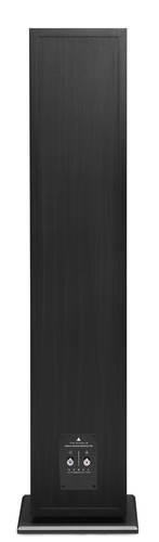 2Black Ash