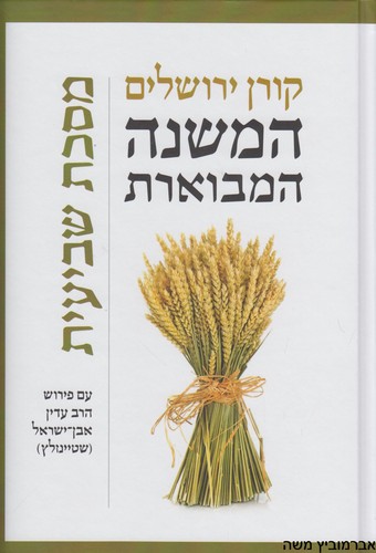 המשנה המבוארת שביעית