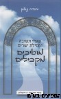 מוטיבים מקבילים