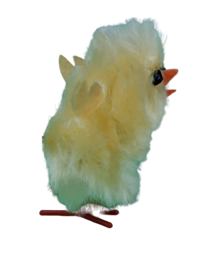 fake-chick