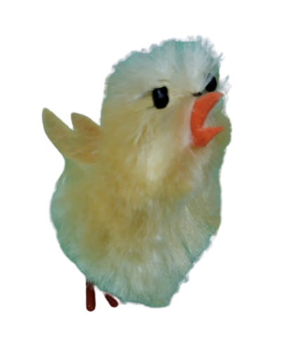fake-chick