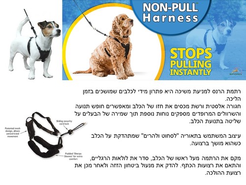 רתמה נון פול NON-PULL לכלב גדול 43-60 ס