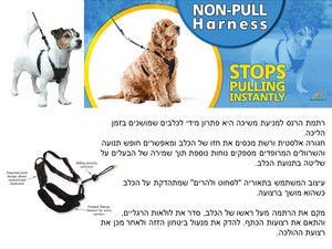 רתמה נון פול NON-PULL לכלב גדול 43-60 ס"מ היקף