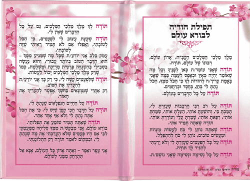 תפילת הודיה לבורא עולם