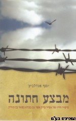 מבצע חתונה