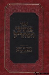 בנתיבי המהר"ל