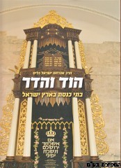 הוד והדר-בתי כנסיות בארץ ישראל