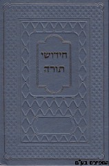 חידושי תורה
