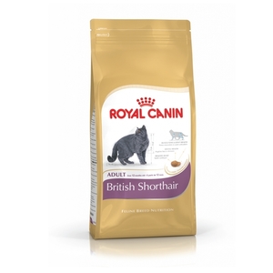 רויאל קנין לחתול בריטי 10 ק"ג ROYAL CANIN