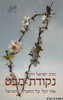 נקודת מבט