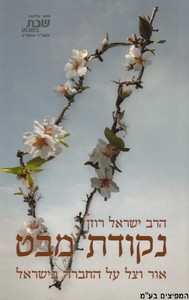 נקודת מבט