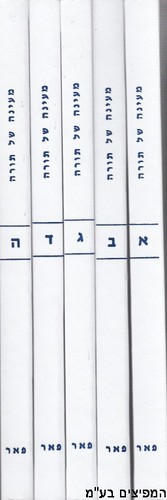 מעיינה של תורה