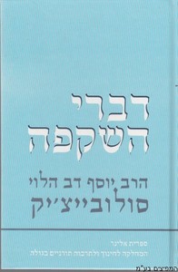 דברי השקפה