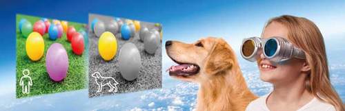 ערכת מדע אופטית - לראות את העולם דרך עיניים אחרות (22 עדשות מתחלפות)