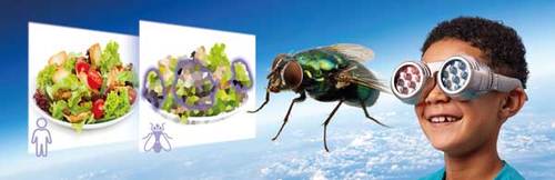 ערכת מדע אופטית - לראות את העולם דרך עיניים אחרות (22 עדשות מתחלפות)