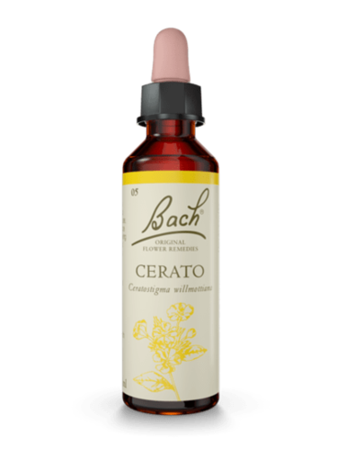 Cerato 20 ml תמצית מס' 5 | פרחי באך