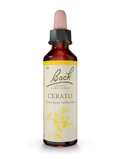 Cerato 20 ml תמצית מס