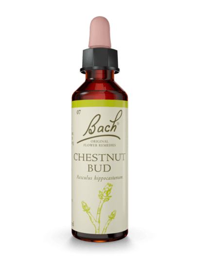 Chestnut Bud 20 ml תמצית מס