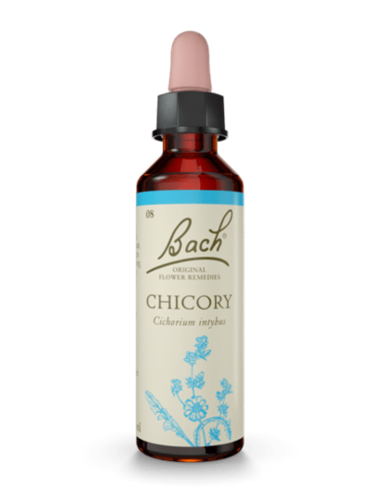 Chicory 20 ml תמצית מס 8 | פרחי באך