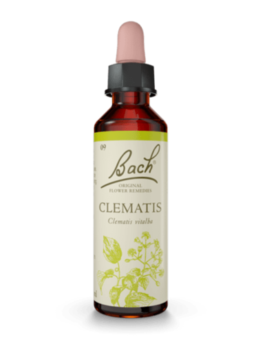 Clematis 20 ml תמצית מס' 9 | פרחי באך
