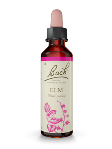 Elm 20 ml תמצית מס' 11 | פרחי באך